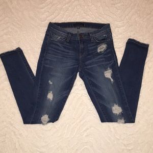 Flying Monkey Distressed Skinny Jeans